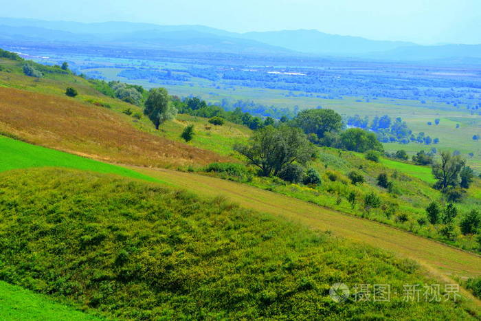 罗马尼亚特兰西瓦尼亚平原和森林的典型农村景观阳光明媚的仲夏的绿色