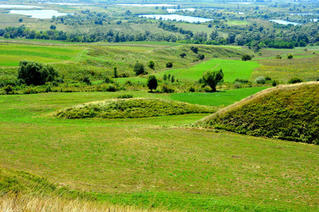 罗马尼亚特兰西瓦尼亚平原和森林的典型农村景观.