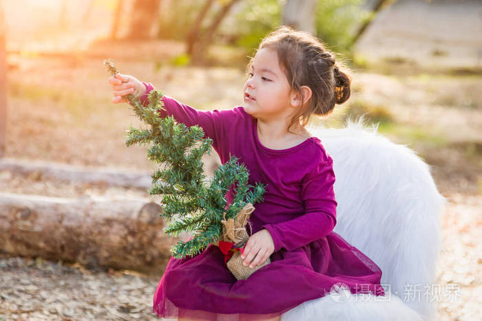 可爱的混合种族年轻女婴抱着小圣诞树在户外。