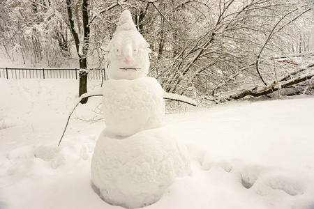 冬季景观。 雪地里的树。 城市公园。 雪人