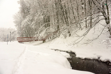 冬季景观。 雪地里的树。 城市公园。 小溪。 水红色楼梯