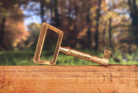 旧的胸钥匙站在木桌上的自然. 模糊的森林和草地背景与老木.