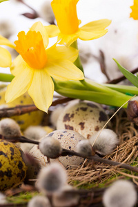 白色背景下巢中的复活节彩蛋