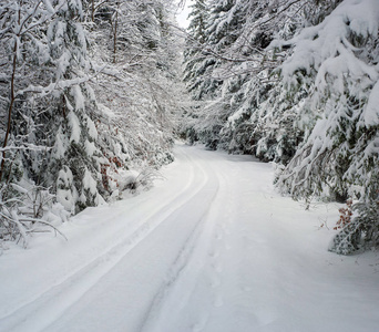 怒雪落冬仙林..美丽的冬季景观中的雪树。山上冬林中的雪原。圣诞节背景。