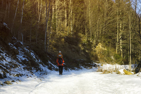 一个男人和儿子肩并肩走在雪地森林里的道路上。冬天。日