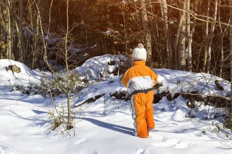 穿着橙色连衣裙的小男孩在一片针叶林的雪覆盖的道路上行走。 冬天阳光明媚的一天。 背面视图