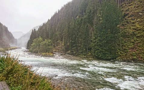 令人惊叹的自然景观与峡湾，森林，山河和山脉。早上雾蒙蒙的。完全自由的感觉..地点挪威斯堪的纳维亚山脉。