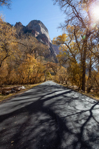 风景优美的道路在峡谷在一个阳光明媚的秋季季节。 摄于美国犹他州锡安国家公园。