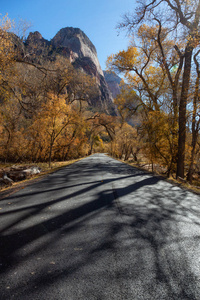 风景优美的道路在峡谷在一个阳光明媚的秋季季节。 摄于美国犹他州锡安国家公园。