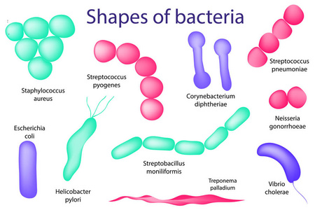 手绘微生物学装置。细菌微生物的排列