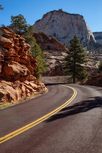 风景优美的道路在峡谷在阳光明媚的夏天。 摄于美国犹他州锡安国家公园。