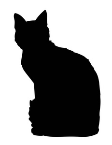 可爱的黑色小猫向导图片