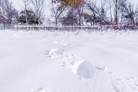 足迹和手在雪上的纹理背景