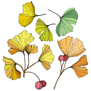 银杏叶背景图片-银杏叶背景素材-银杏叶背景插画-摄图新视界