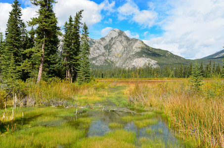 加拿大的自然，有树木湖泊河流和山脉。