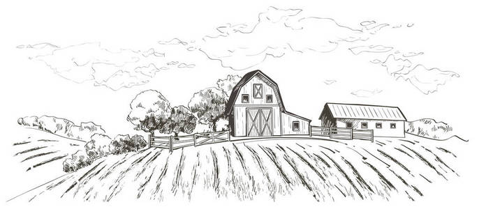 农村景观田小麦.手绘向量农村景观雕刻风格例证照片