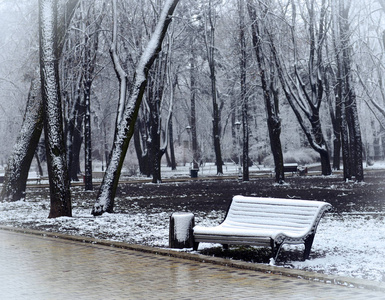 冬天的风景，雪花飘落的长凳上覆盖着雪，在霜冻的公园里，冬天的树和街灯。 冬季雪景景观