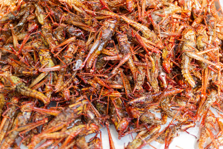 油炸昆虫蝗虫昆虫脆泰国食品在街头食品市场。 可在市场上买到