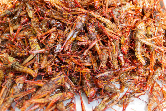 油炸昆虫蝗虫昆虫脆泰国食品在街头食品市场可在市场上买到