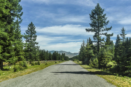 阿尔泰自然的美丽景色和景观。 阿尔泰的道路和公路的视角，背景是雄伟的山脉，覆盖着森林和天空，云层。