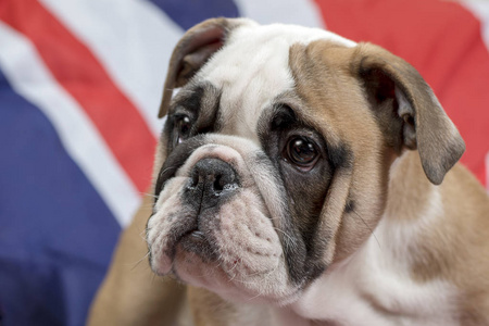 英国国旗旅行箱图片