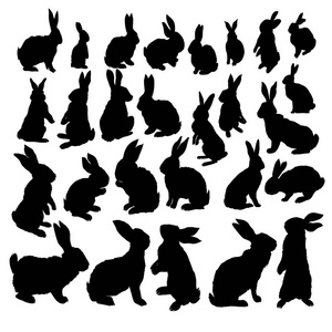 兔子设置孤立在白色背景兔子剪影。