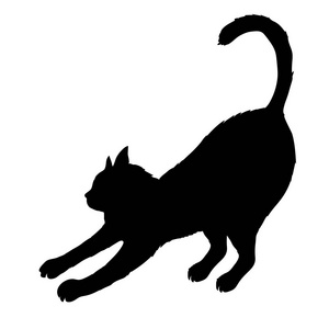 孤立在黑色的猫图片-孤立在黑色的猫素材-孤立在黑色的猫插画-摄图新