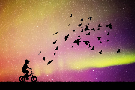 矢量插图与儿童在自行车和成群的鸟类的轮廓。 星空中的北极光。 五彩缤纷的北极光