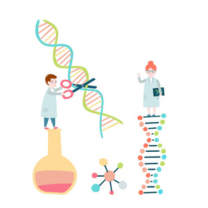 小科学家的概念。 DNA结构基因组测序。 矢量图。