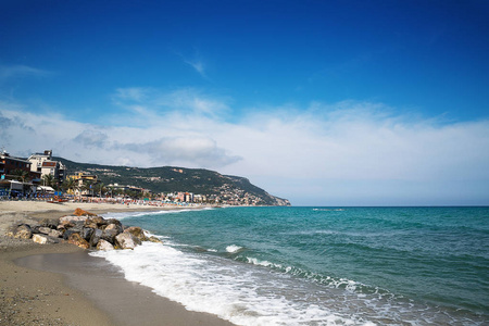 海鸥在圆石滩图片