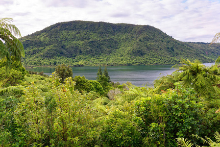 新西兰罗托卡哈伊湖绿湖