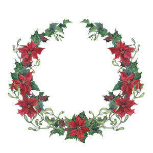 水彩圣诞花环与冬青槲寄生和一品红。 手绘圣诞花边框隔离在白色背景上。 用于设计的植物插图。 设计印刷圣诞插图