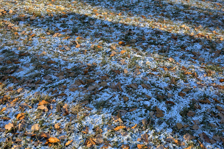 寒冷天气下有雪和霜的冬季草坪图片