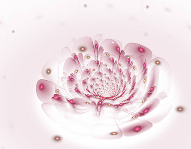 花瓣螺旋上升图片