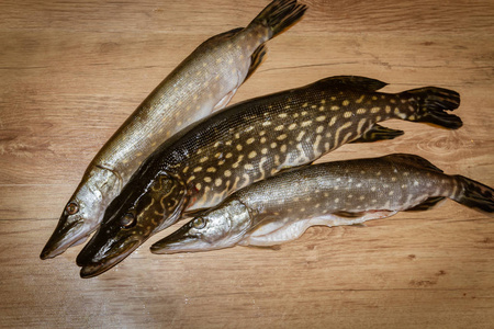 鱼刺摄影图-鱼刺图片大全-鱼刺照片-摄图新视界