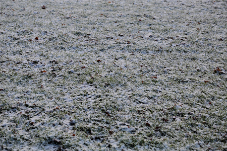 寒冷天气下有雪和霜的冬季草坪