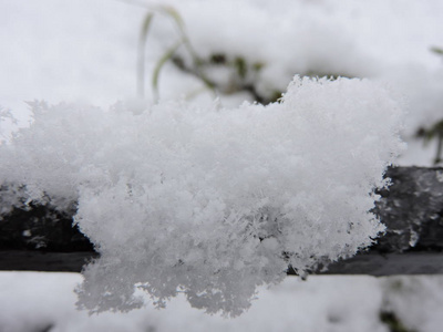 篱笆上的雪晶