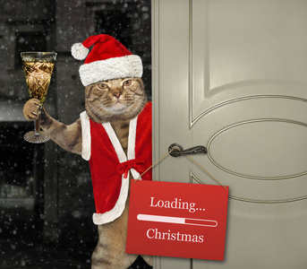 带着一杯香槟的猫圣诞老人正在门口开门.准备圣诞礼物.照片