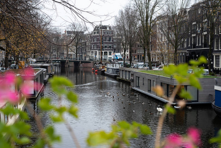 冬天的阿姆斯特丹运河