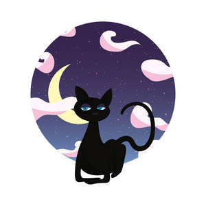 黑猫坐在晚上