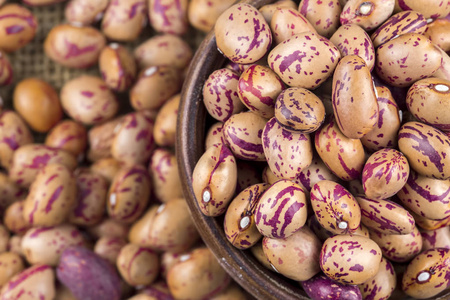  dried roman beans. Dried pinto beans.