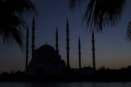 阿达纳土耳其萨班奇中心清真寺夜景。 旅游概念照片。