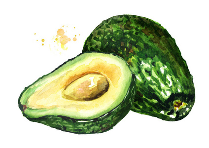 鳄梨分离图片-鳄梨分离素材-鳄梨分离插画-摄图新视界