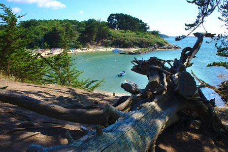 海岸线海滨海滩和船在布里塔尼的僧侣岛上的莫比汉。 法国