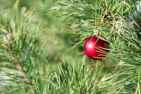 冷杉树枝上的红色圣诞球。 圣诞背景。 雪花闪耀着星星