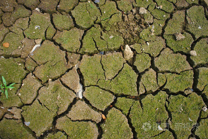 奥弗涅艾达特湖湿润地带夏季封闭