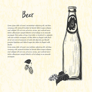 啤酒瓶的素描风格。 条形菜单矢量插图