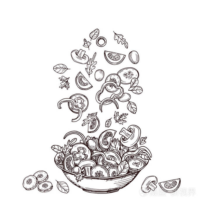 新鲜的蔬菜片掉到沙拉碗里.绿色沙拉饮食与健康食品向量素描概念