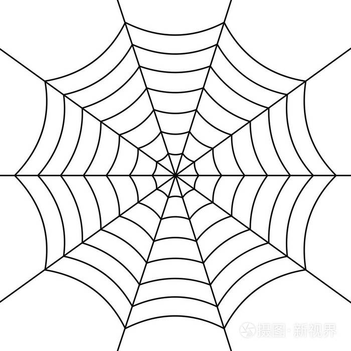 蜘蛛网只是矢量插画-正版商用图片15604v-摄图新视界