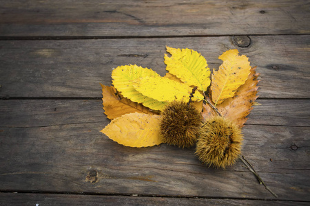 在秋季，木质背景上的叶子变黄了。